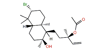 Isoconcinndiol 13-acetate